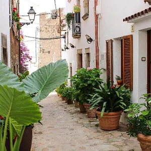 Amazing In With Wifi Spain